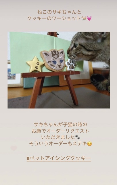 世界にひとつ、犬猫のペット似顔絵アイシングクッキー｜DECO-HANAブログ